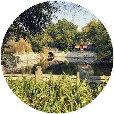 风驰幽林正式版下载